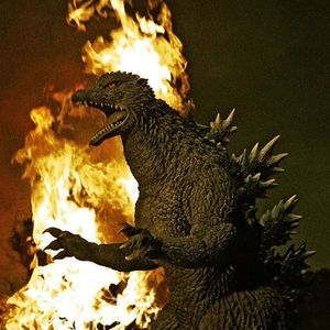 Meet your Posher, Julius